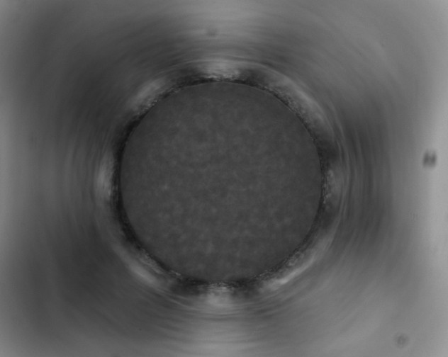 X0000102850600200808181419