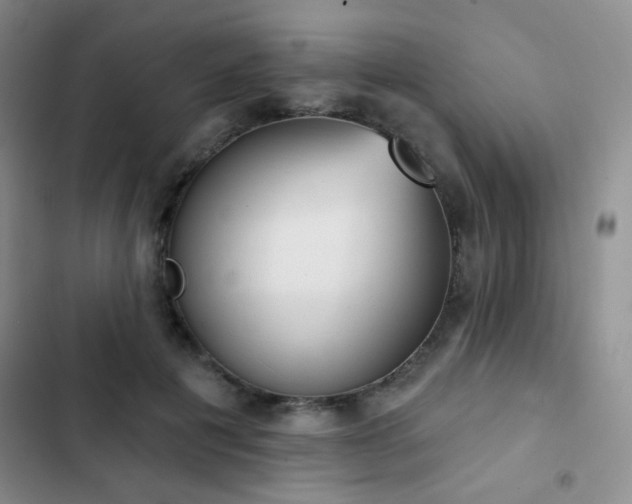 X0000102850601200808181419