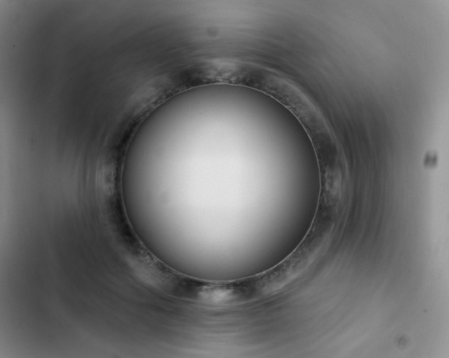 X0000102850602200808181419