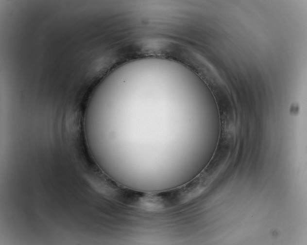 X0000102850603200808181419