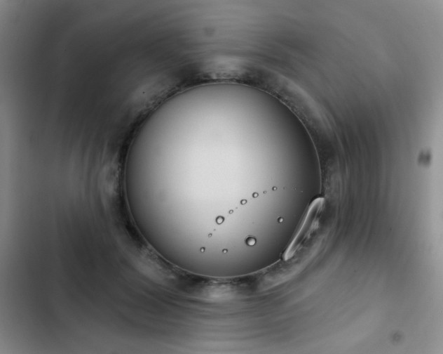 X0000102850604200808181419
