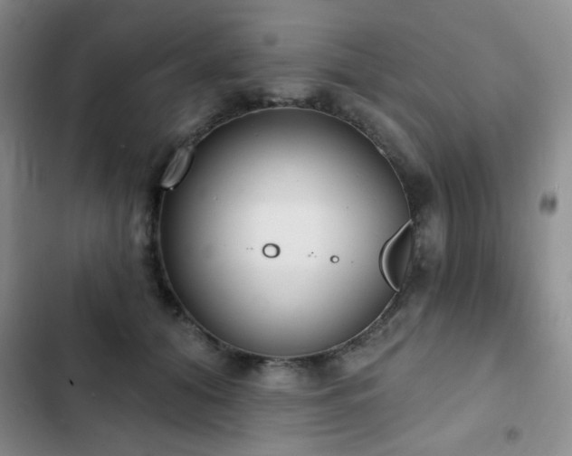 X0000102850608200808181419
