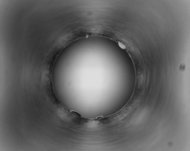 X0000102850609200808181419