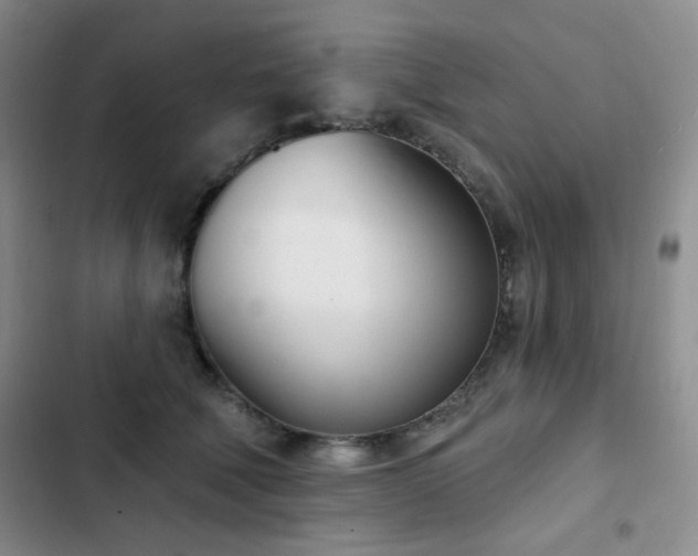 X0000102850610200808181419