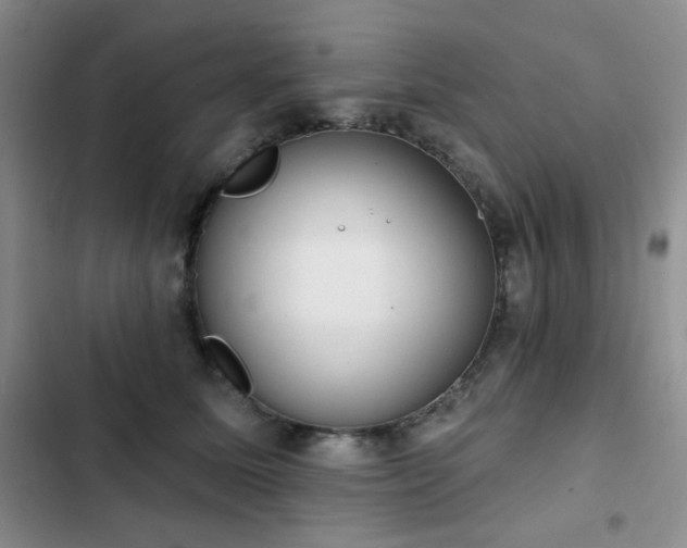 X0000102850611200808181419