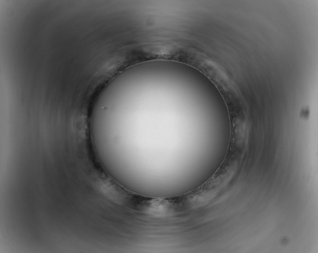 X0000102850612200808181419