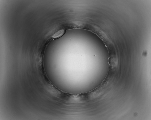 X0000102850613200808181419