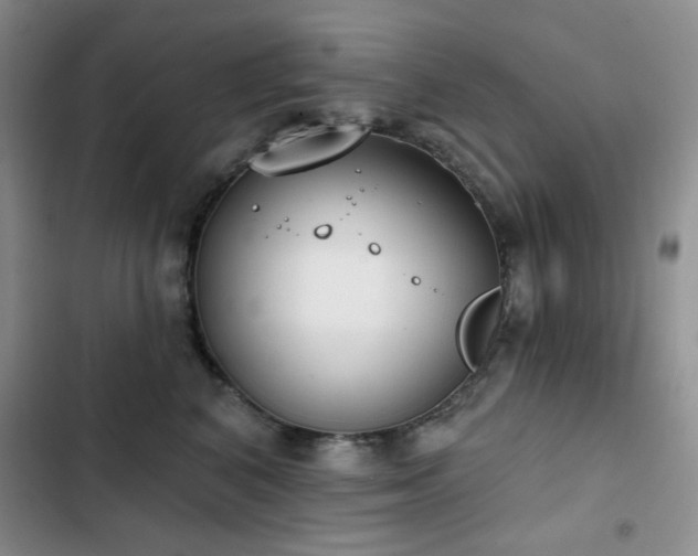 X0000102850616200808181419