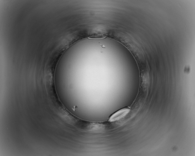 X0000102850617200808181419