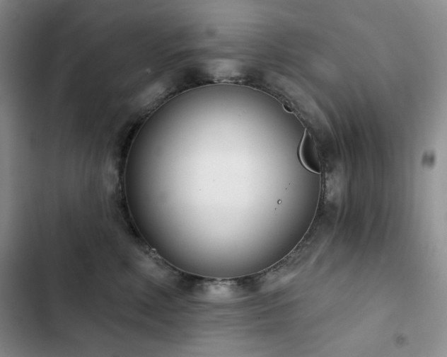 X0000102850618200808181419