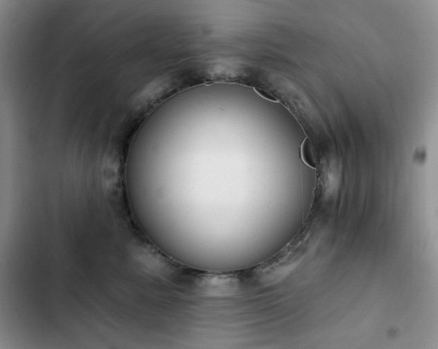 X0000102850619200808181419