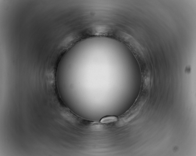 X0000102850620200808181419