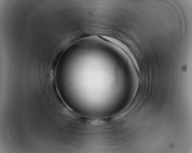 X0000102850621200808181419