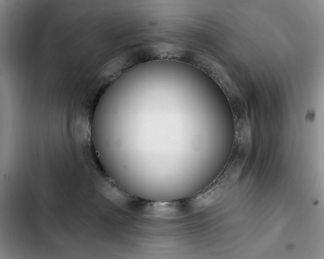 X0000102850622200808181419