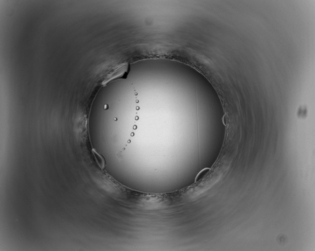 X0000102850624200808181419
