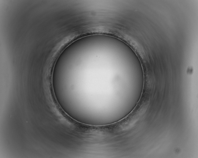 X0000102850625200808181418