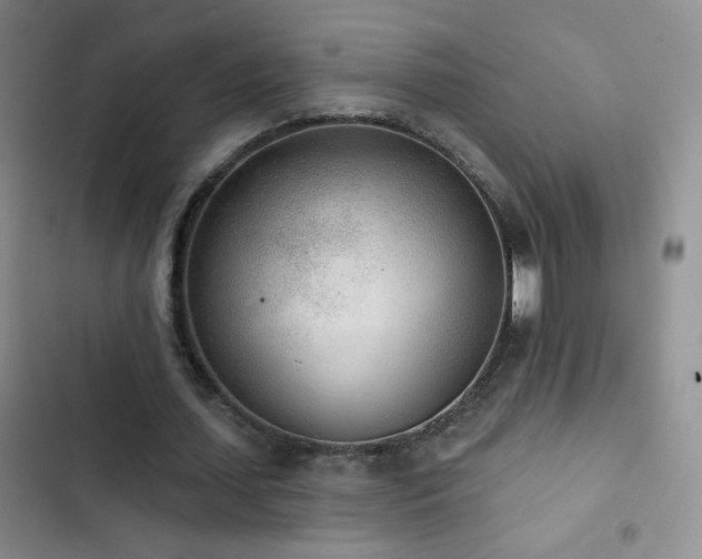 X0000102850627200808181418