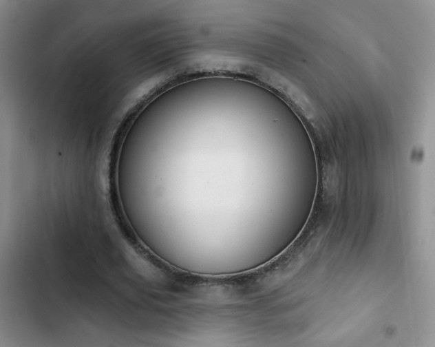 X0000102850629200808181418