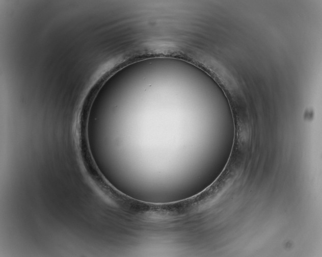 X0000102850630200808181418