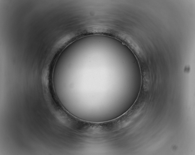 X0000102850631200808181418