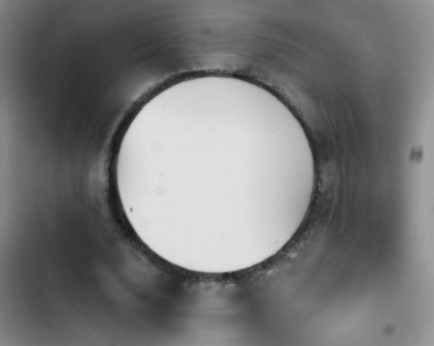 X0000102850632200808181418