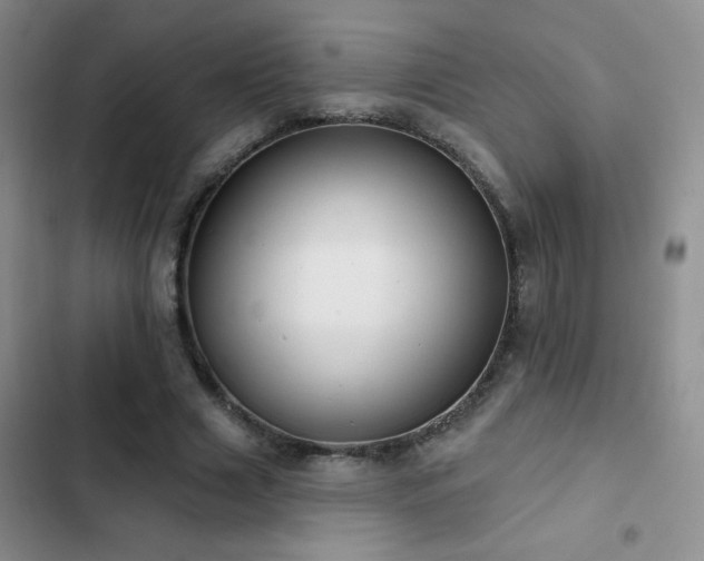 X0000102850633200808181418