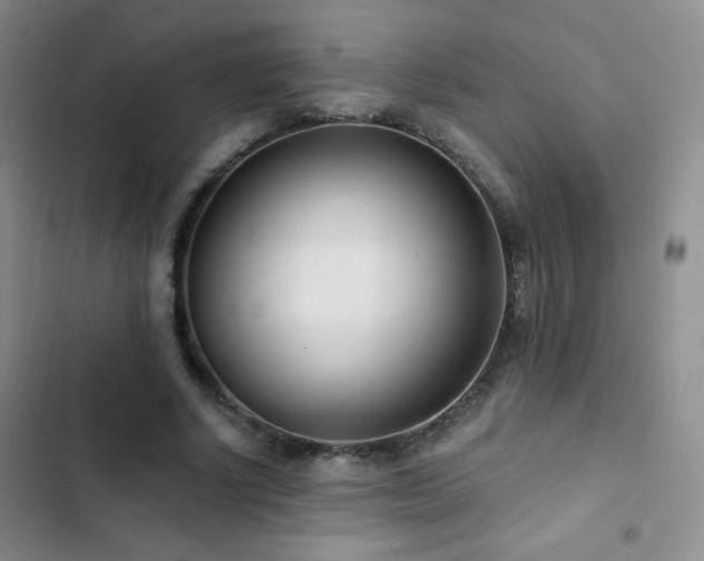 X0000102850634200808181418