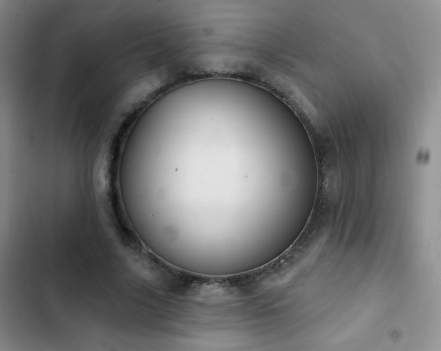 X0000102850635200808181418