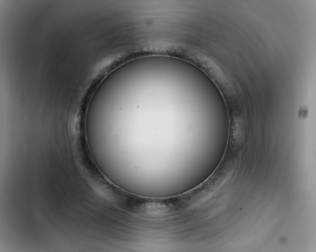 X0000102850636200808181418