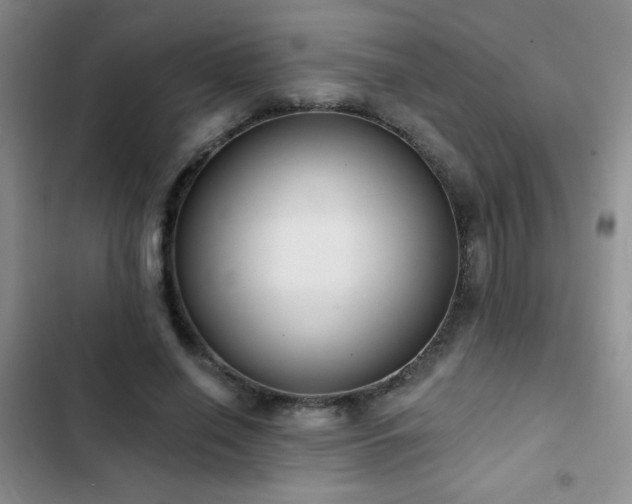 X0000102850638200808181418