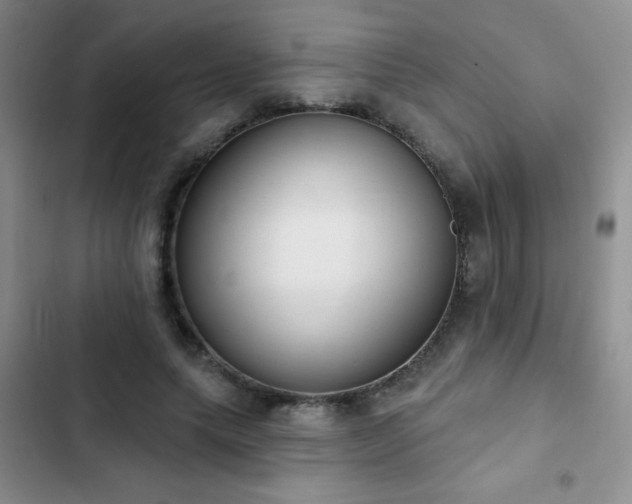 X0000102850639200808181418