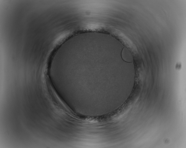 X0000102850640200808181418