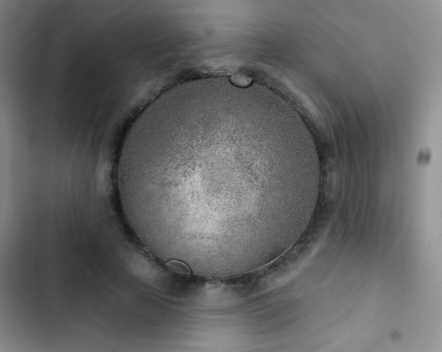 X0000102850641200808181418