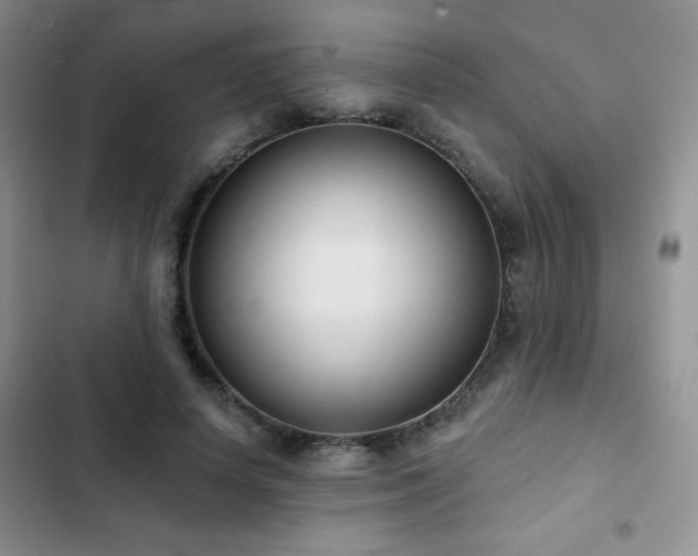 X0000102850642200808181418
