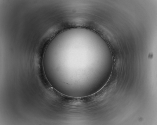 X0000102850643200808181418