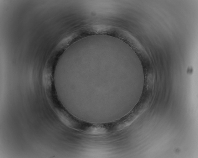X0000102850644200808181418