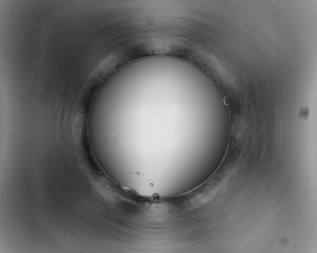 X0000102850645200808181418