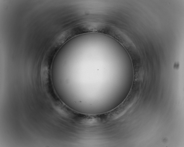 X0000102850646200808181418