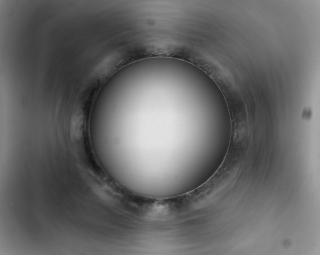 X0000102850647200808181418