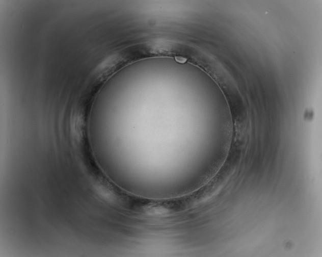 X0000102850648200808181418