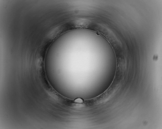X0000102850649200808181418