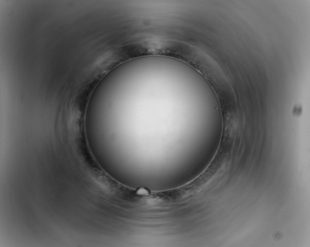 X0000102850650200808181418