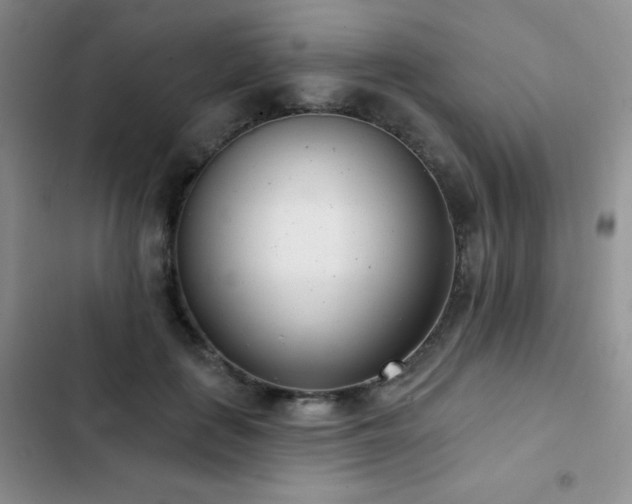 X0000102850651200808181418