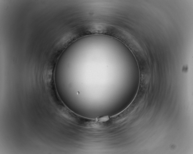 X0000102850652200808181418