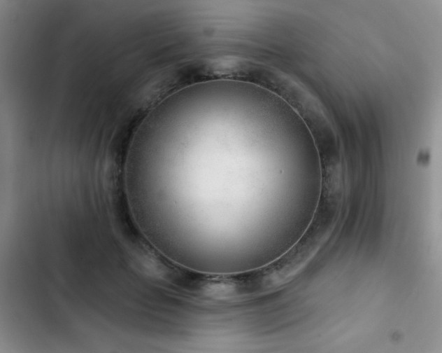 X0000102850653200808181418