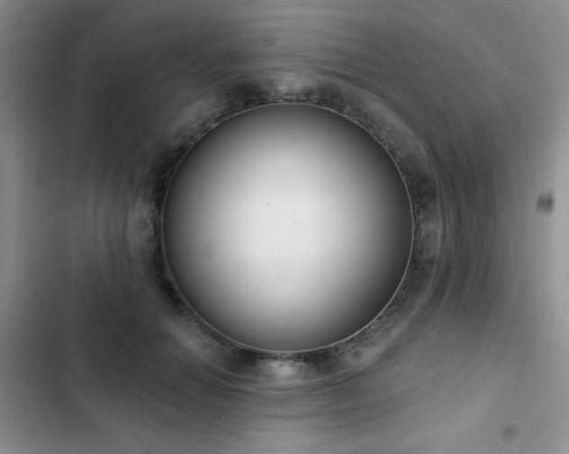 X0000102850654200808181418