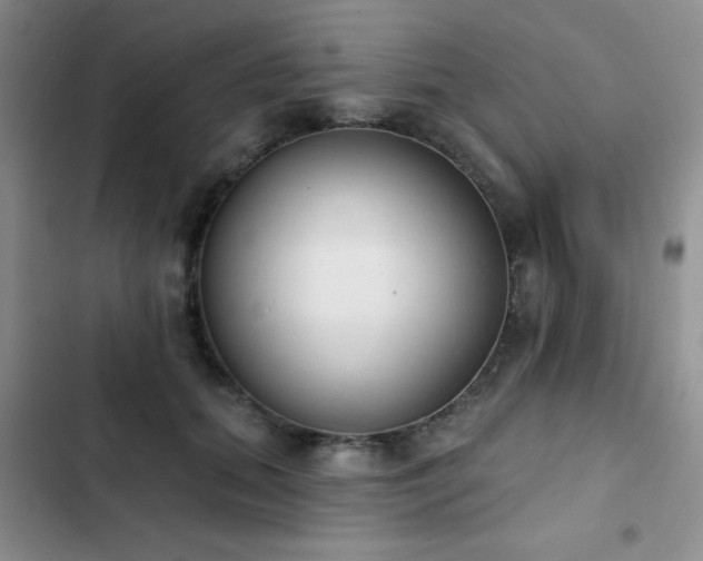 X0000102850655200808181418