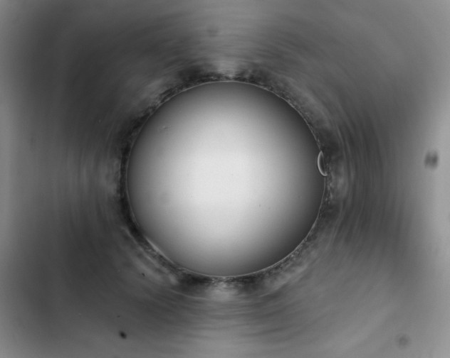 X0000102850656200808181418