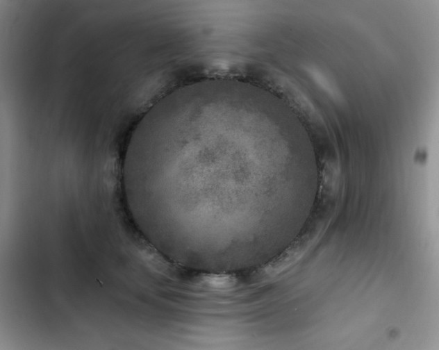 X0000102850659200808181418
