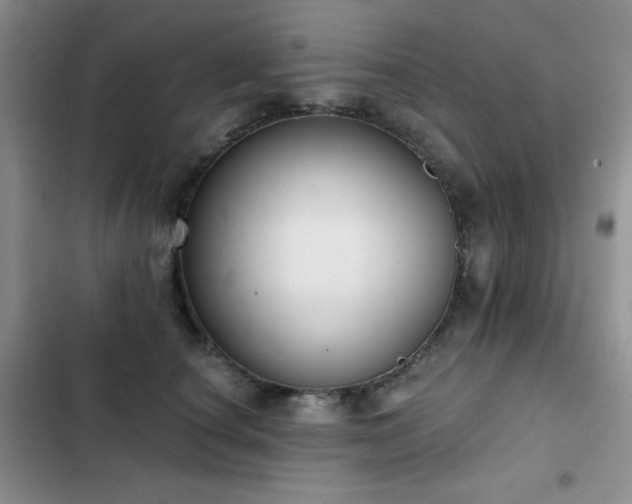X0000102850660200808181418